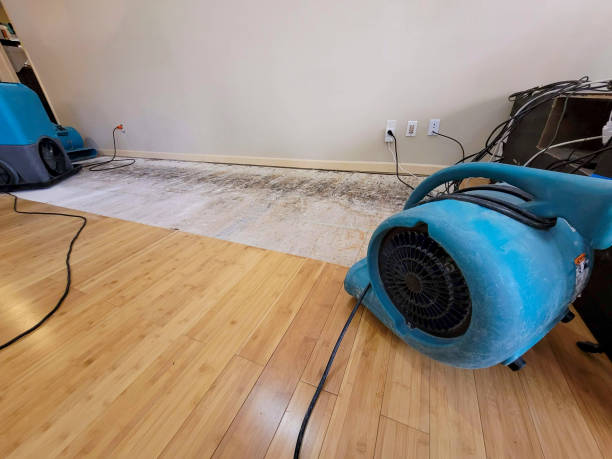 Professional Burst Pipe Water Damage technician working in Lesterville, SD